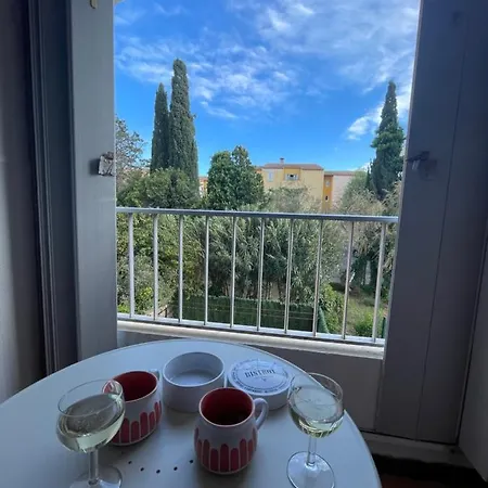 Cap D'agde Beau 2 Pieces Commerces A Pieds ! Appartement Agde