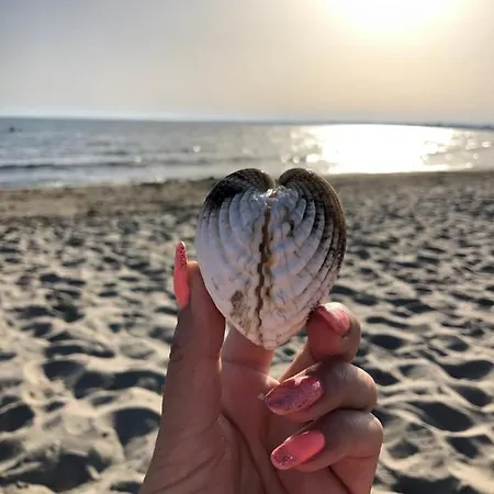 Cap D'agde Beau 2 Pieces Commerces A Pieds ! Appartement