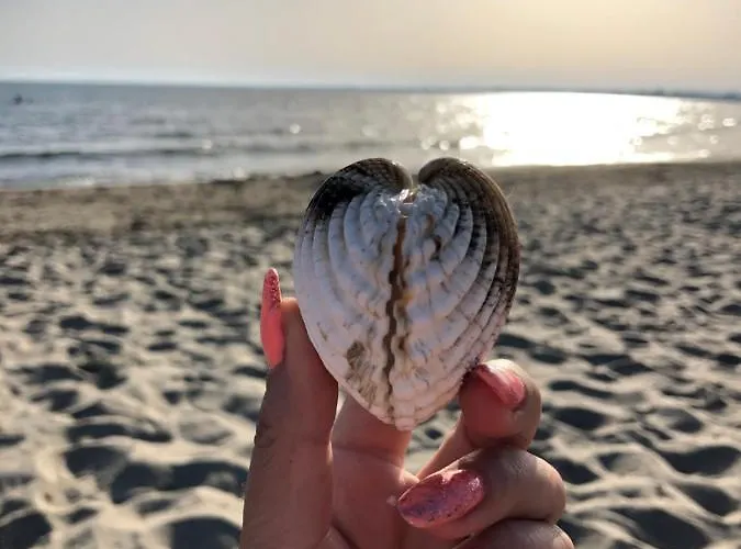 Cap D'agde Beau 2 Pieces Commerces A Pieds ! Διαμέρισμα