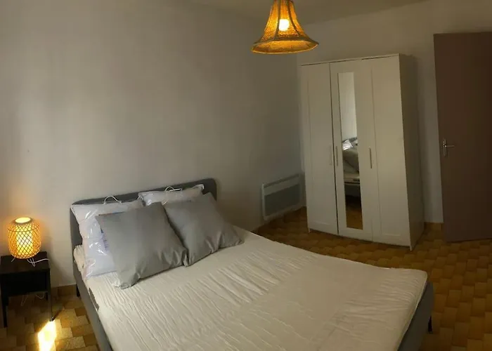 Apartman Cap D'agde Beau 2 Pieces Commerces A Pieds !